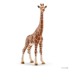 Giraffe Female 7" Figure