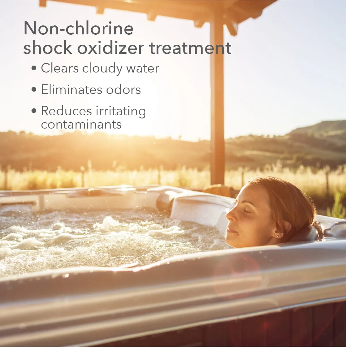 Leisure Time Renew Non-Chlorine Shock